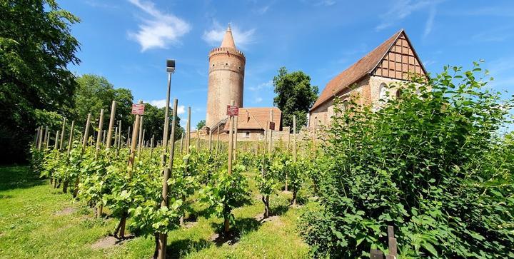 WOLLENBERG Restaurant & Weinladen